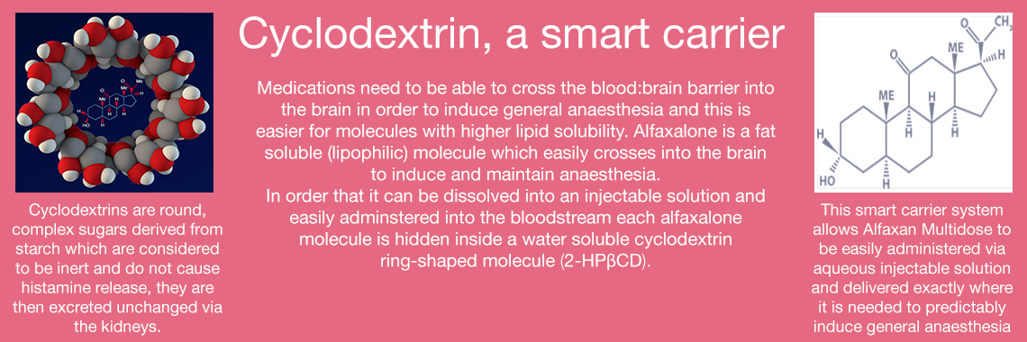 Cylodextrin, a smart carrier
