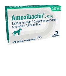 Amoxibactin® 250 mg tablets for dogs