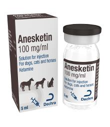 Anesketin 100 mg/ml solution for injection for dogs, cats and horses