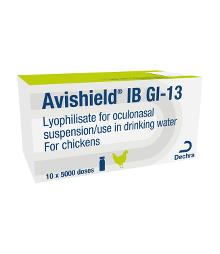 Avishield IB GI-13, lyophilisate for oculonasal suspension/use in drinking water for chickens