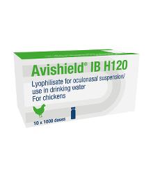 Avishield IB H120, lyophilisate for oculonasal suspension/use in drinking water, for chickens
