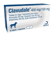 Clavudale® 500 mg tablets for dogs