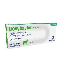 Doxybactin 200 mg tablets for dogs