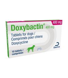 Doxybactin 400 mg tablets for dogs