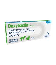 Doxybactin 50 mg tablets for dogs and cats