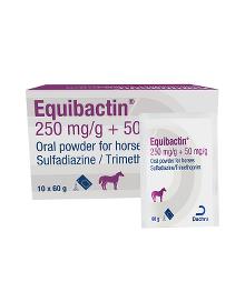 Equibactin 250 mg/g + 50 mg/g oral powder for horses