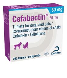 Cefabactin 50 mg tablets for dogs and cats
