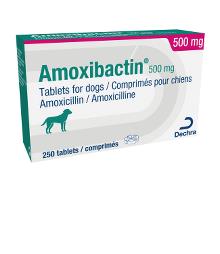 Amoxibactin® 500 mg tablets for dogs