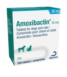 Amoxibactin® 50 mg tablets for dogs and cats
