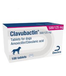 Clavubactin 500/125 mg tablets for dogs
