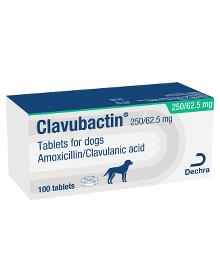 Clavubactin 250/62.5 mg tablets for dogs