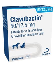 Clavubactin 50/12.5 mg tablets for cats and dogs