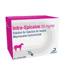 Intra-Epicaine® 20mg/ml solution for injection for horses