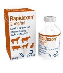 Rapidexon® 2 mg/ml solution for injection